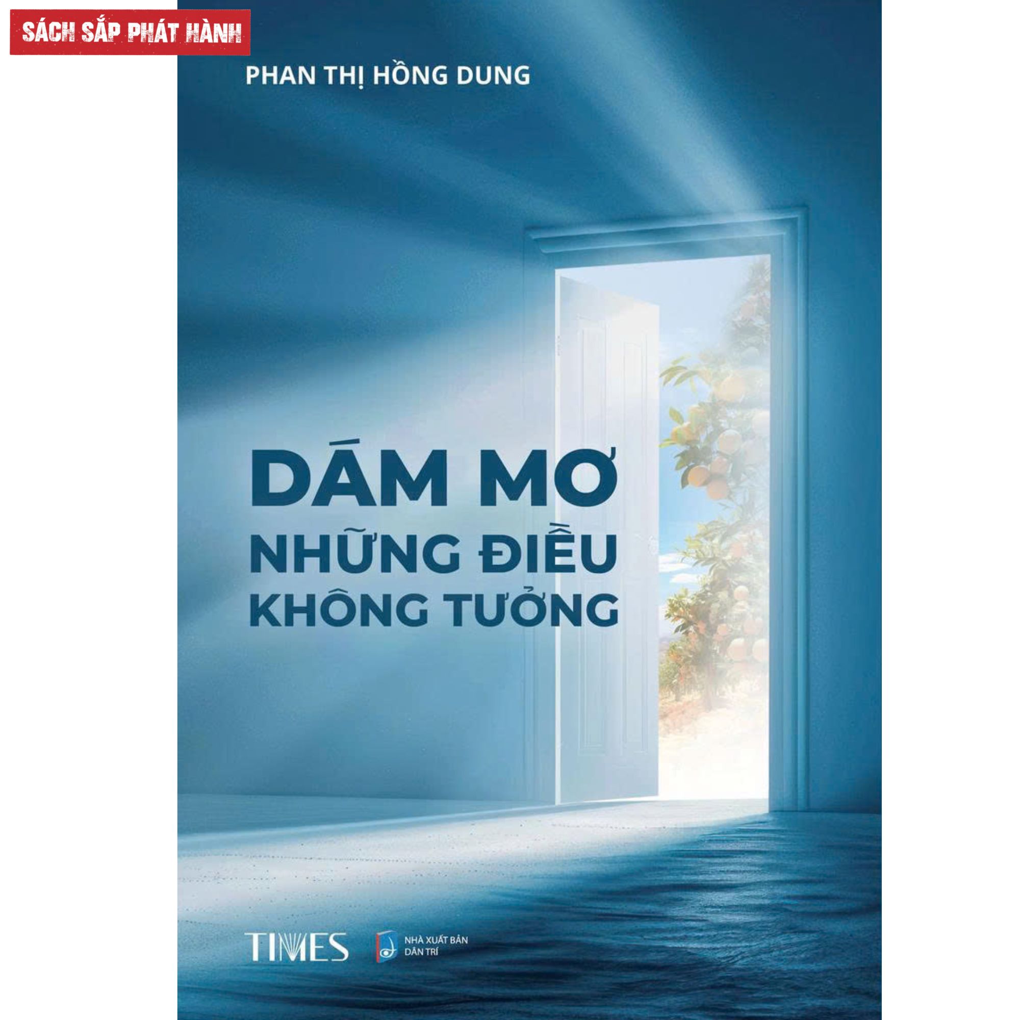 Sách Dám mơ những điều không tưởng - Phan Thị Hồng Dung